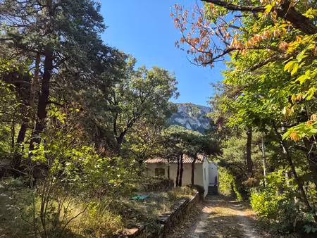 maison coeur de forêt avec vue magnifique