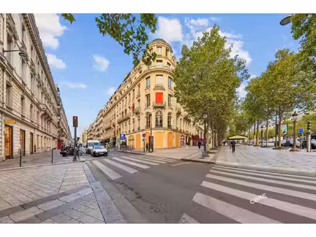 location local professionnel 262m²