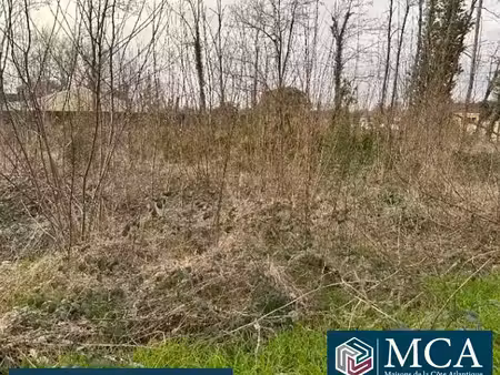 vente terrain 1200 m² saint-denis-de-pile (33910)