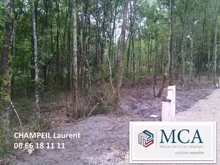vente terrain 404 m² salles (33770)