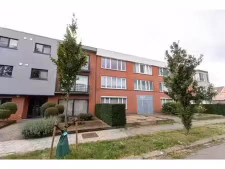 appartement te huur in wijnegem