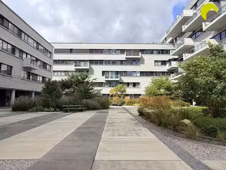 appartement te huur in edegem met 2 slaapkamers