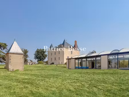 dans l'est de la vienne  dans un parc de près de 3 ha  une demeure du 19e s. entièrement..