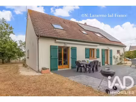 maison à traînou (45470)