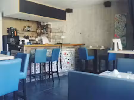 vente locaux professionnels 100 m² à chaumont-sur-loire (41150)  120 000 €