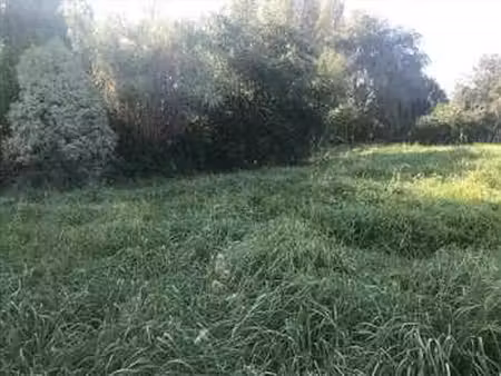 vente terrain à fouesnant (29170) : à vendre / fouesnant