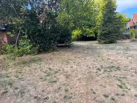 terrain