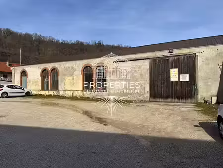 vente locaux professionnels 0 pièces 1175 m² à saint-geoire-en-valdaine (38620)  600 000 €