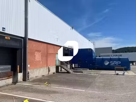 location entrepôt saint quentin fallavier 38070 8000m² à 33071m²