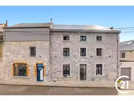 maison renovee 273m² - pierre  lumière et cour-jardin