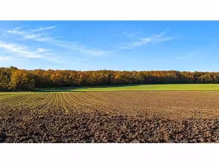 terrain agricole