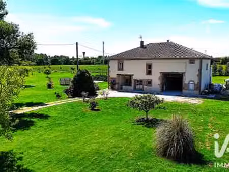 vente maison à saint-nicolas-de-la-grave (82210) : à vendre / 305m² saint-nicolas-de-la-gr