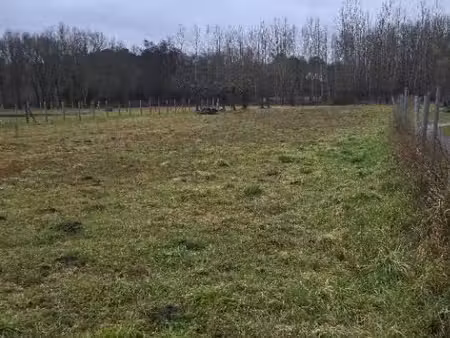 terrain à bâtir à gauriaguet (33240)