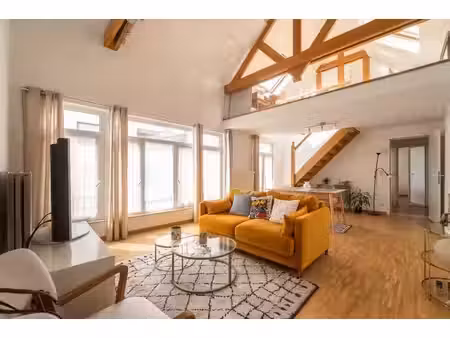 magnifique duplex 1 chambre avec mezzanine