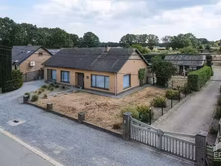 maison à vendre à overpelt € 475.000 (lrhci) - era carl tournier (pelt) | zimmo