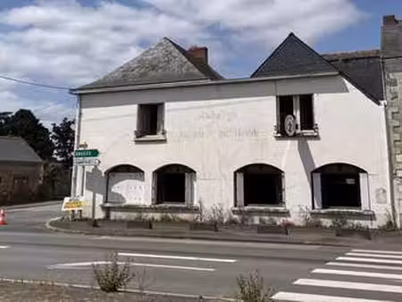 vente immeuble piscine à ingrandes-le-fresne-sur-loire (49123) : à vendre piscine / 315m² 