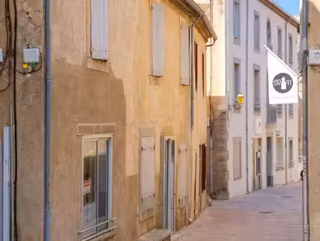 pascale vialan immobilier