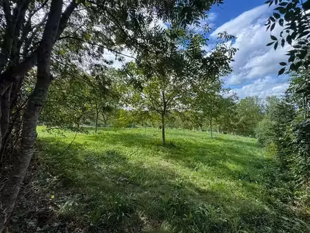 terrain constructible à vendre