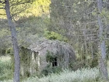 terrain à vendre
