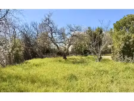 terrain constructible à vendre