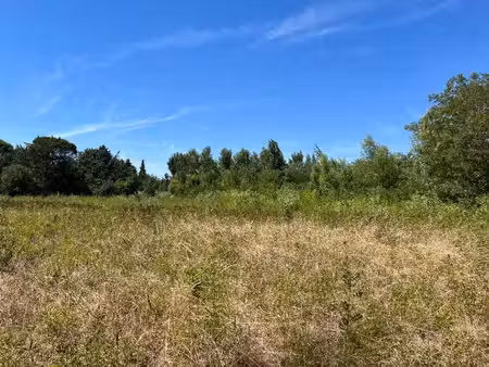 terrain constructible viabilisé à vendre