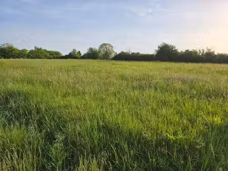 terrain constructible à vendre