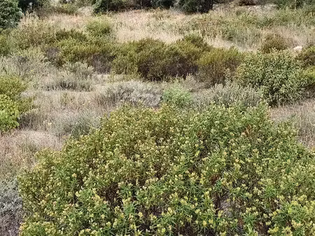 terrain constructible neuf à vendre
