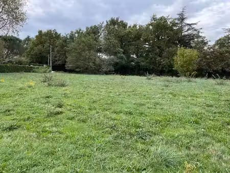 terrain constructible viabilisé à vendre