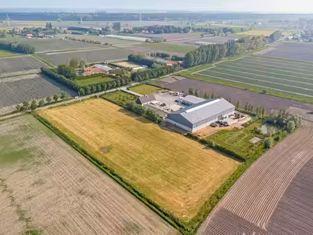 bien professionnel à vendre à moerkerke € 1.450.000 (lribm) - vastgoed vandille | zimmo