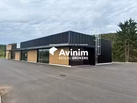location commerce pouxeux 88550 145m² à 292m²