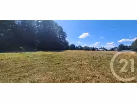 terrain à vendre - 6190 m2 - behen - 80 - picardie