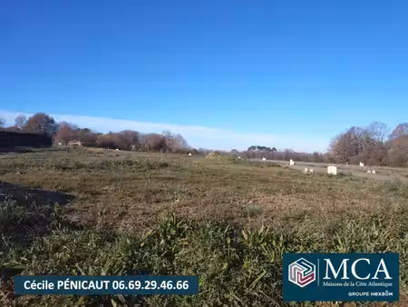 terrain constructible viabilisé à vendre