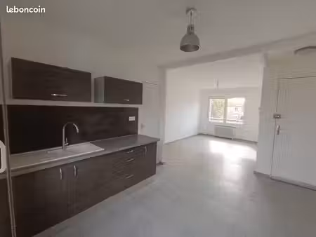 f3 meublé 60m2 cave/jardin
