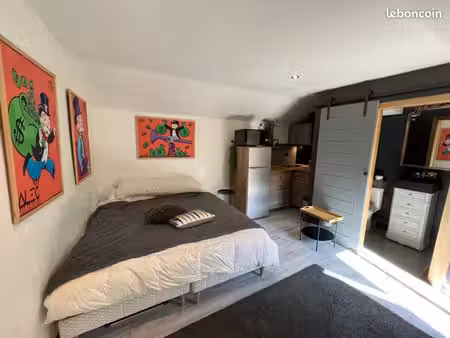 studio 18m2 plein centre