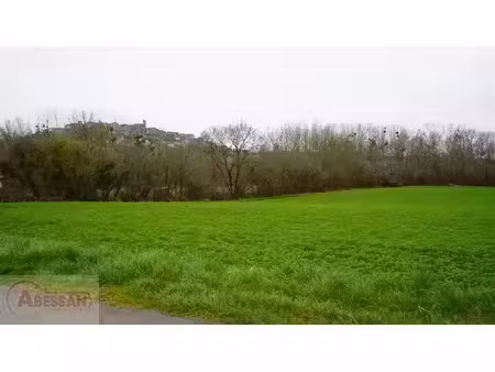 vente terrain 10000 m² cordes-sur-ciel (81170)