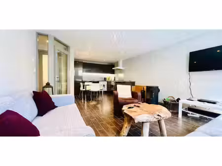 appartement chamonix-mont-blanc (74)
