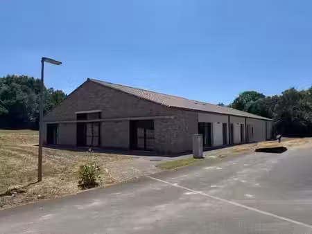 vente commerce 13 pièces saint-martin-lars-en-sainte-hermine (85210)