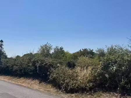 vente terrain 1400 m² saint-martin-lars-en-sainte-hermine (85210)