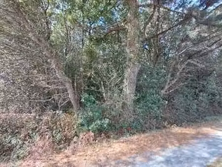 vente terrain à la garnache (85710) : à vendre / 3555m² la garnache