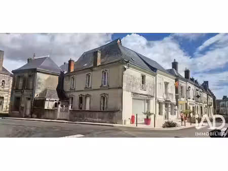maison à neuvy-le-roi (37370)