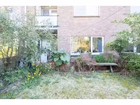 appartement 1 chambre avec terrasse
