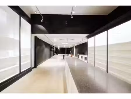 surface commerciale avec puits de lumière  emplacement de p