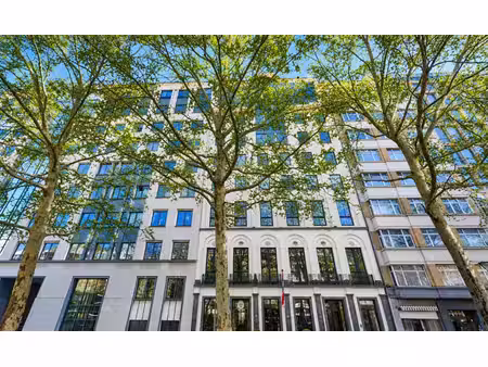 nice offices to let from 250 m² up to 5.400 m²