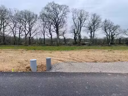 vente terrain 220 m² à saint-père-en-retz (44320)  61 000 €
