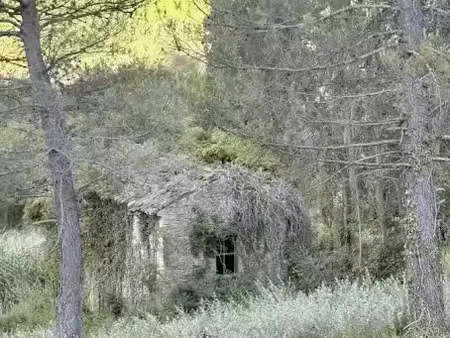 vente terrain à batir 60 m² à crestet (84110)  220 000 €