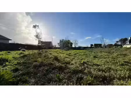 vente terrain 780 m² à plobannalec-lesconil (29740)  118 000 €