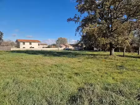 vente terrain 480 m² à la salvetat-saint-gilles (31880)  138 000 €