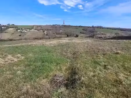 vente terrain 1326 m² à mervilla (31320)  195 000 €