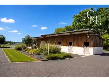 vente terrain 40000 m² à les esseintes (33190)  270 000 €