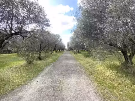 vente terrain 7323 m² à uzès (30700)  1 560 000 €